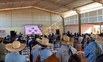 ABCZ marca presença no ‘1º Dia de Campo do Projeto Agropecuário Guadalupe’