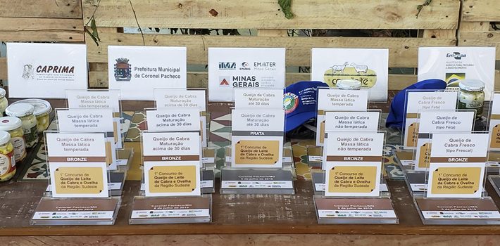 Concurso premia os melhores queijos de leite de cabra da região Sudeste
