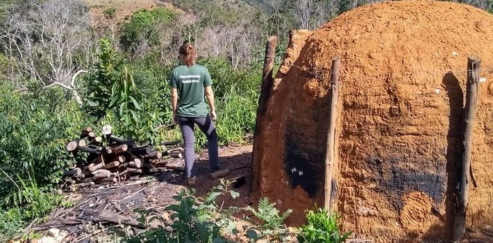 Operação reprime desmatamento ilegal no Leste de Minas