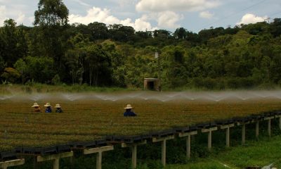 Igam reduz em 23% passivo de outorgas no primeiro semestre