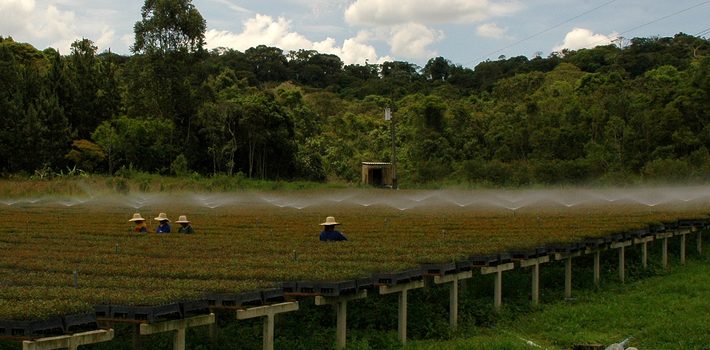 Igam reduz em 23% passivo de outorgas no primeiro semestre