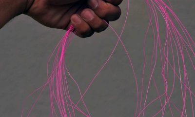 Pipas em áreas urbanas representam perigo e prejuízo para população