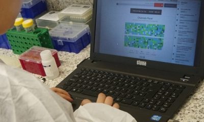 Funed sedia curso internacional para investigação genética da dengue