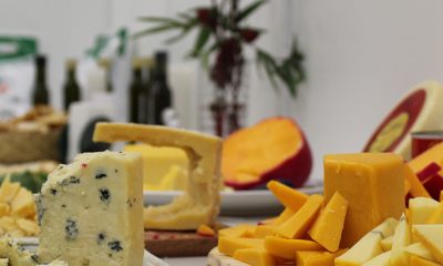 Harmonize traz dicas para escolha e conservação de queijos