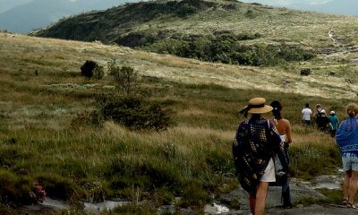 Unidades de conservação selecionam voluntários