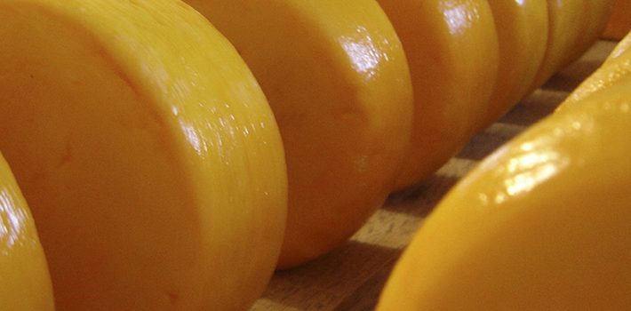 Governo faz primeira entrega do Selo Arte a produtores de queijos artesanais