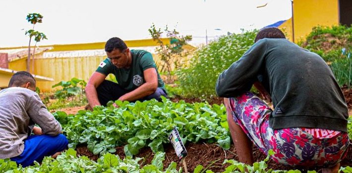 Cultivo de horta contribui para reinserção de jovens do Centro Socioeducativo de Montes Claros