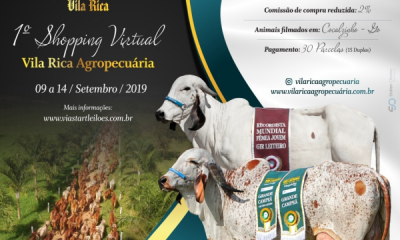 ‘1º Shopping Virtual Vila Rica Agropecuária’ começa na próxima segunda (09)