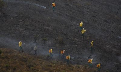 Minas Gerais refina trabalho de combate a incêndios florestais