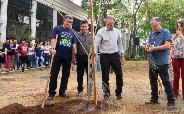 Semam apresenta próxima etapa do projeto Reviverde e Saúde das Plantas ao prefeito