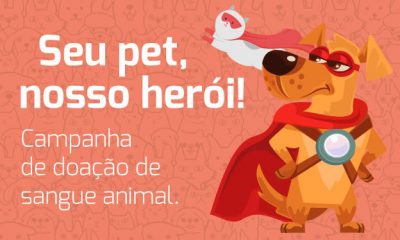 Campanha do HVU incentiva a doação de sangue para cães e gatos