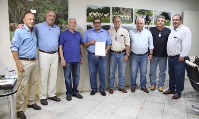 Fêmeas da raça Indubrasil sem ascendência conhecida serão registradas como PO