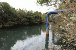 Codau aciona novamente sistema de transposição do rio Claro