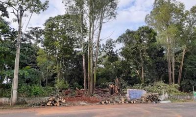 Acerca da questão de supressão de árvores da Mata Eva Reis a Prefeitura de Uberaba, através da Procuradoria Geral, esclarece: