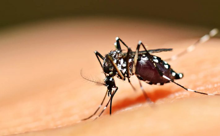 Prefeitura de Uberaba busca novas tecnologias na luta contra a dengue