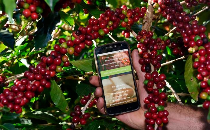 Produtores do Sul de Minas utilizam plataforma digital para exportar café
