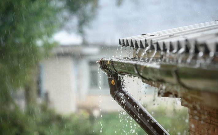 Período chuvoso aumenta possibilidade de doenças e requer cuidados