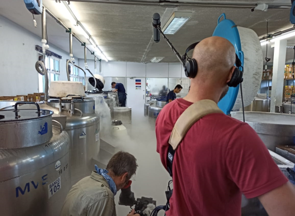 Documentaristas franceses visitam fazendas no Triângulo Mineiro para gravações sobre o Zebu