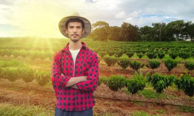 Pronaf terá mais R$ 1 bi para investimento em agricultura familiar