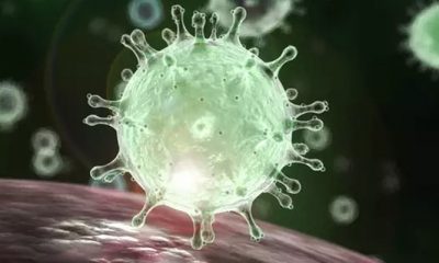São 40 Notificações de Coronavírus em Uberaba