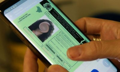 Carteira Digital de Trânsito passa a permitir indicação de principal condutor do veículo