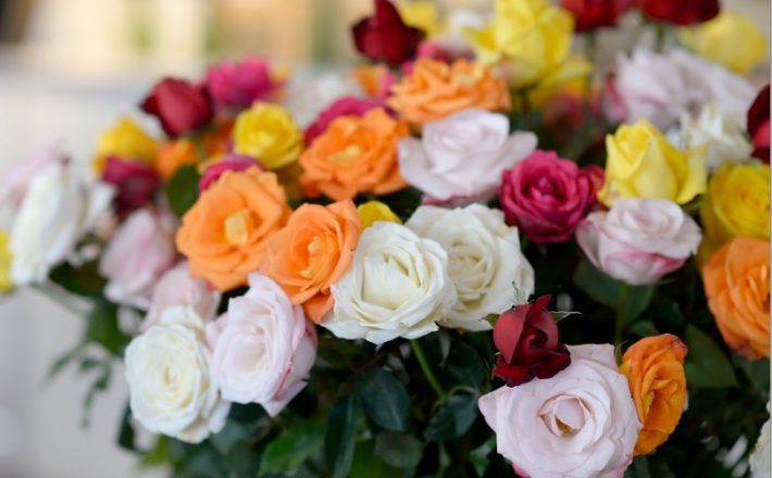 Campanha do Governo estimula envio de flores no Dia das Mães
