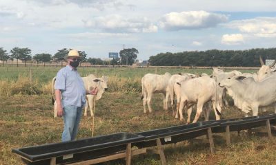 ABCZ começa a receber primeiros participantes do programa ‘Zebu: Carne de Qualidade’