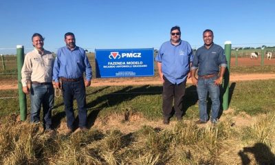 Gerente de Fomento e técnico de campo da ABCZ visitam a Fazenda Modelo parceiro do PMGZ em MS