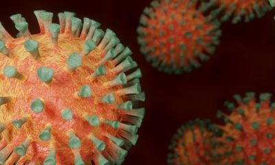 Números da pandemia em Minas Gerais sugerem estabilização da doença