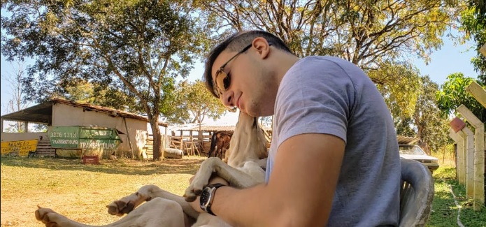 Abandono de animais em Uberaba