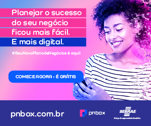 Sebrae – Plano de Nagócio