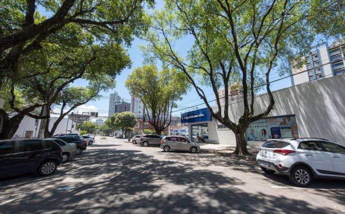 ‘IPTU Verde’ em Uberaba passa pelo crivo da Câmara e segue para a Prefeitura