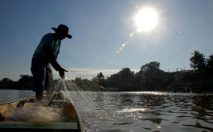 Apicultores cessionários devem enviar relatório anual de produção até 31 de março