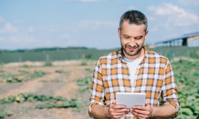 Governo digitalizará mais 77 serviços para o produtor rural em 2021