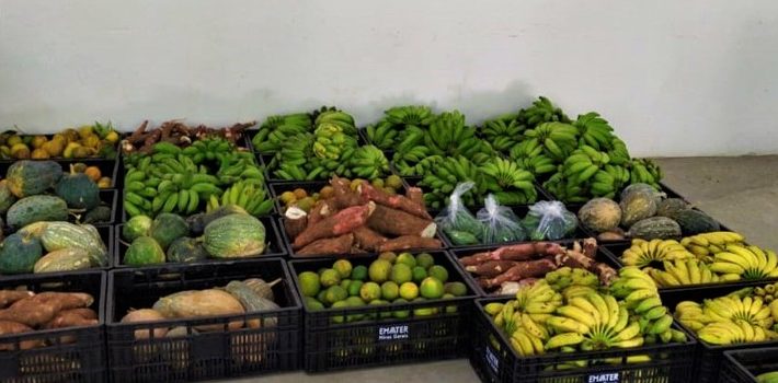 Mantida distribuição de kits de alimentação escolar durante a pandemia