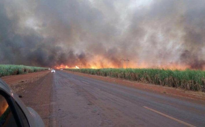 Usina é multada em quase R$ 100 mil por provocar incêndio na zona rural de Uberaba