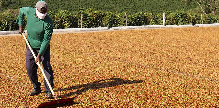 Agronegócio mineiro fecha 2020 com o maior volume exportado e a segunda maior receita da história