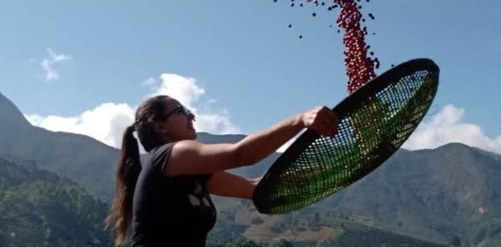 Cafeicultores mineiros se destacam em concurso de qualidade de café