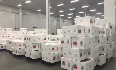 Governo distribui mais 2,6 milhões de doses de vacina contra a Covid-19