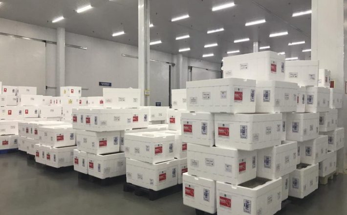 Governo distribui mais 2,6 milhões de doses de vacina contra a Covid-19