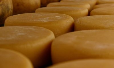 Governador anuncia medidas de fortalecimento da produção de queijo artesanal em Minas Gerais