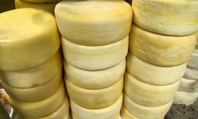 Prefeitura de Uberaba anuncia implantação de queijaria no Bairro Mata da Vida
