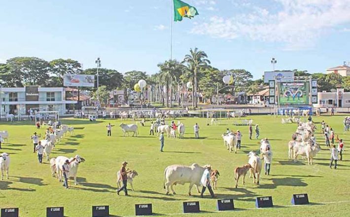 Secretário-executivo do MAPA participa da ExpoZebu e destaca avanços do setor