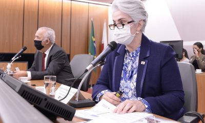 Secretaria de Agricultura apresenta balanço das ações na Assembleia Legislativa