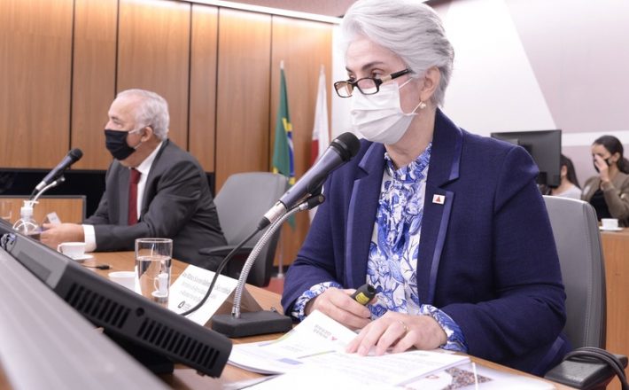 Secretaria de Agricultura apresenta balanço das ações na Assembleia Legislativa