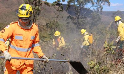 Estado lança Plano de Resposta para atendimento a incêndios florestais