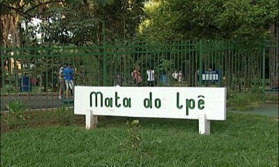 Governo Municipal reabre Mata do Ipê nesta terça, Dia da Árvore; confira a programação