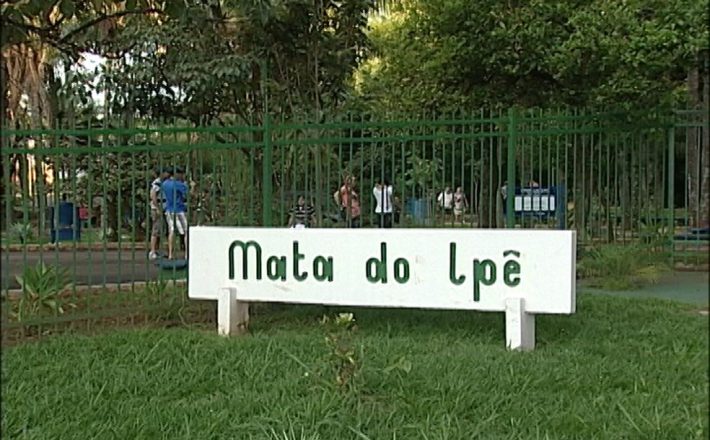 Governo Municipal reabre Mata do Ipê nesta terça, Dia da Árvore; confira a programação