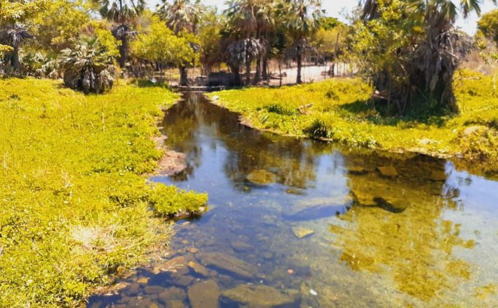 Futuro da energia: preservar nascentes para aumentar reservatórios