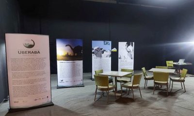 Exposição do projeto Geopark Uberaba está no Romma Street Mall